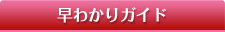 早わかりガイド